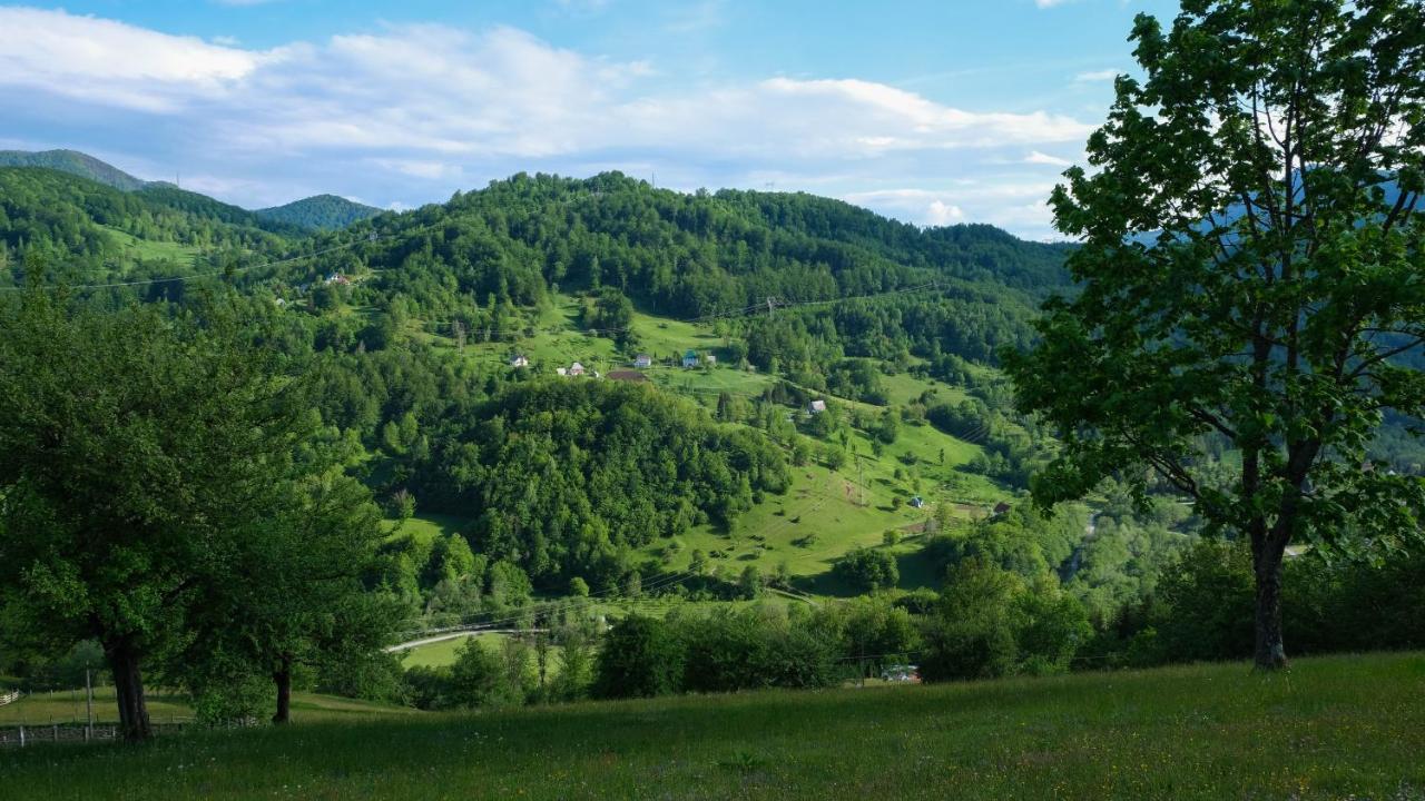 Fern Farm Eco Resort Мойковац Экстерьер фото