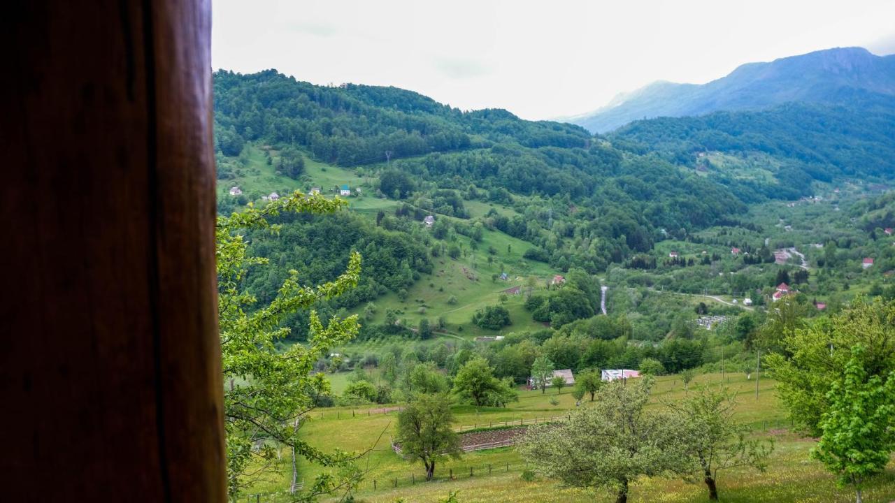 Fern Farm Eco Resort Мойковац Экстерьер фото