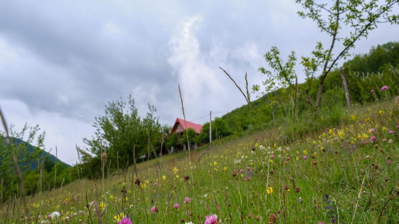 Fern Farm Eco Resort Мойковац Экстерьер фото