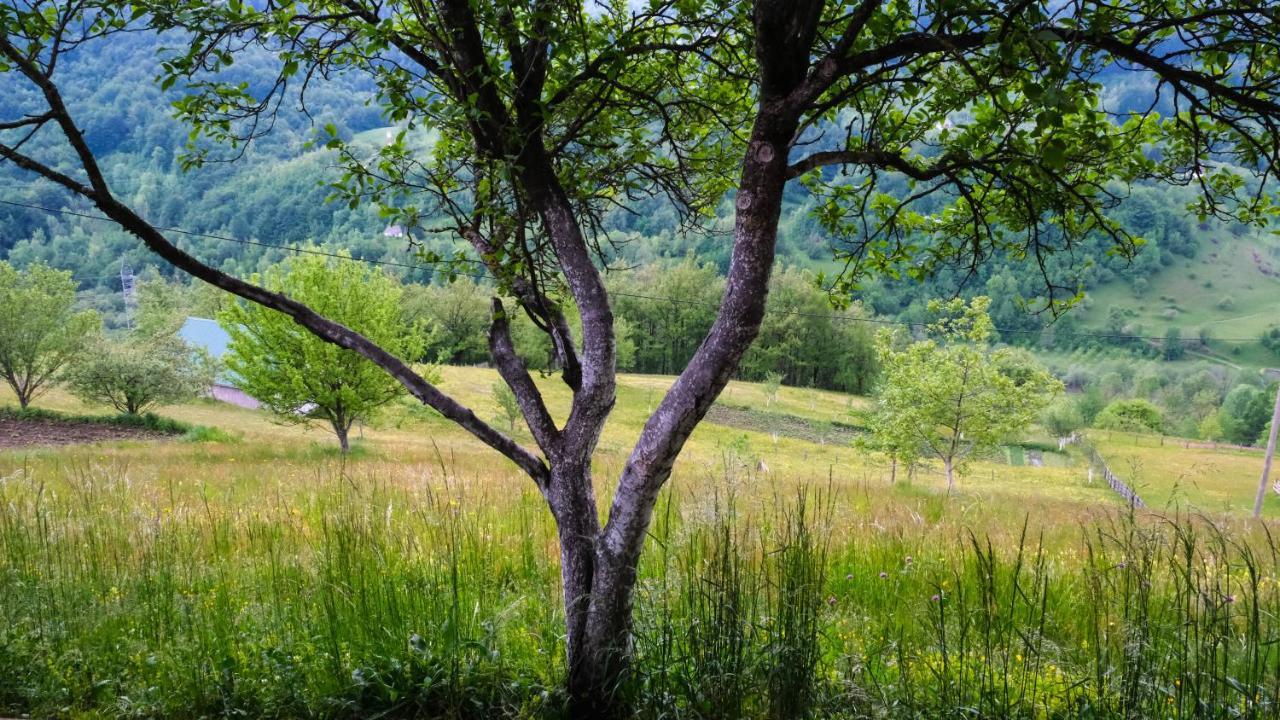 Fern Farm Eco Resort Мойковац Экстерьер фото