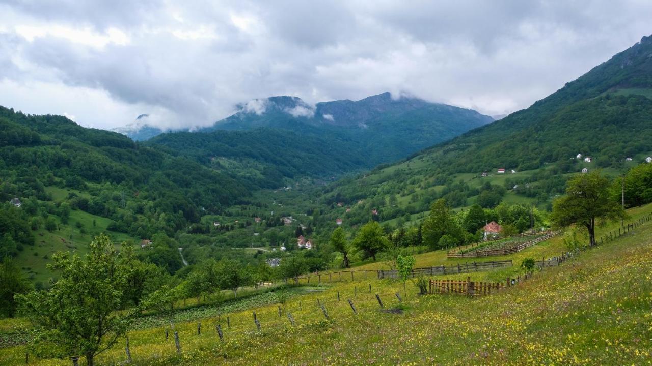 Fern Farm Eco Resort Мойковац Экстерьер фото