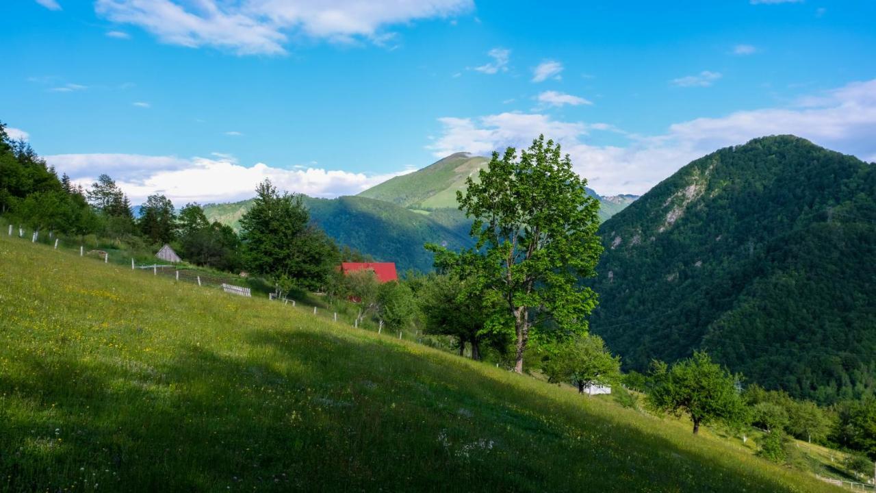 Fern Farm Eco Resort Мойковац Экстерьер фото