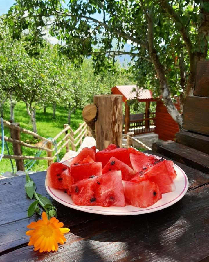 Fern Farm Eco Resort Мойковац Экстерьер фото