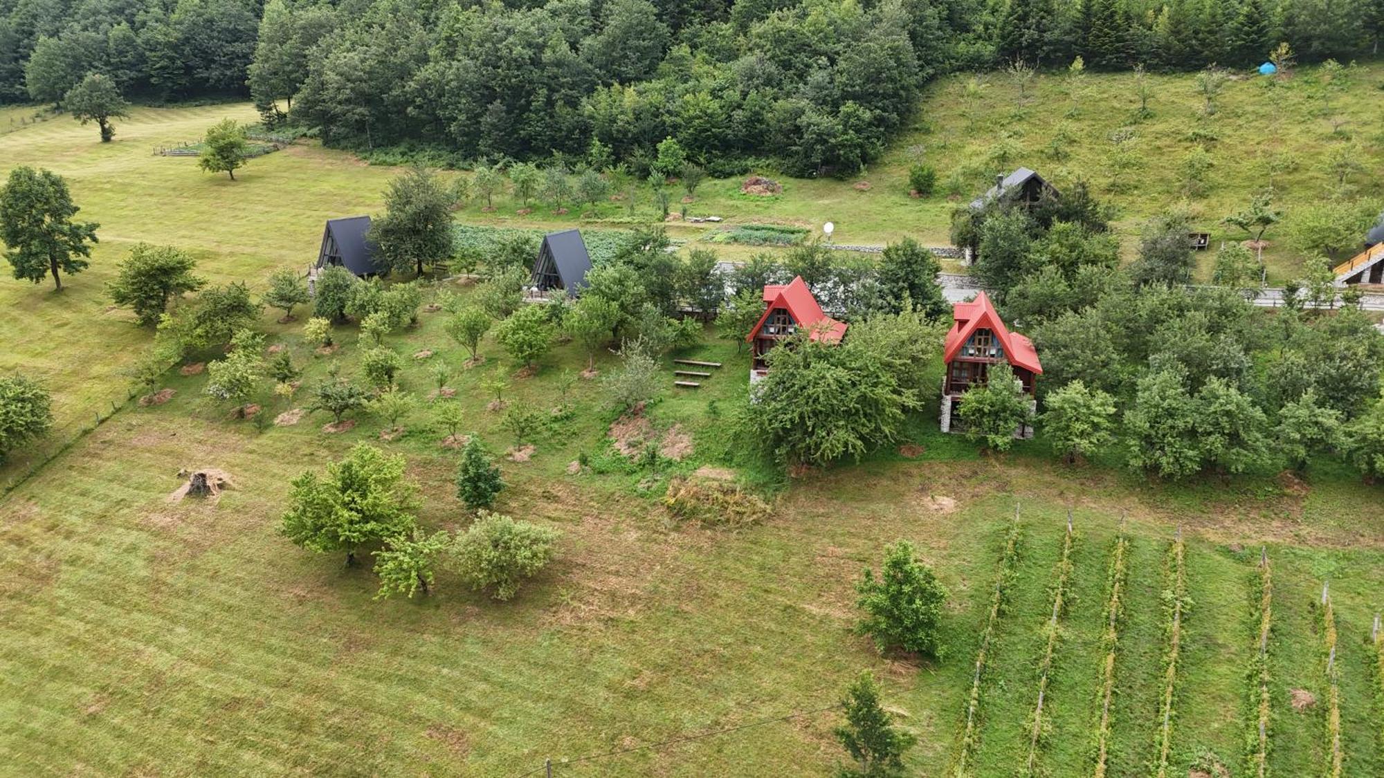Fern Farm Eco Resort Мойковац Экстерьер фото