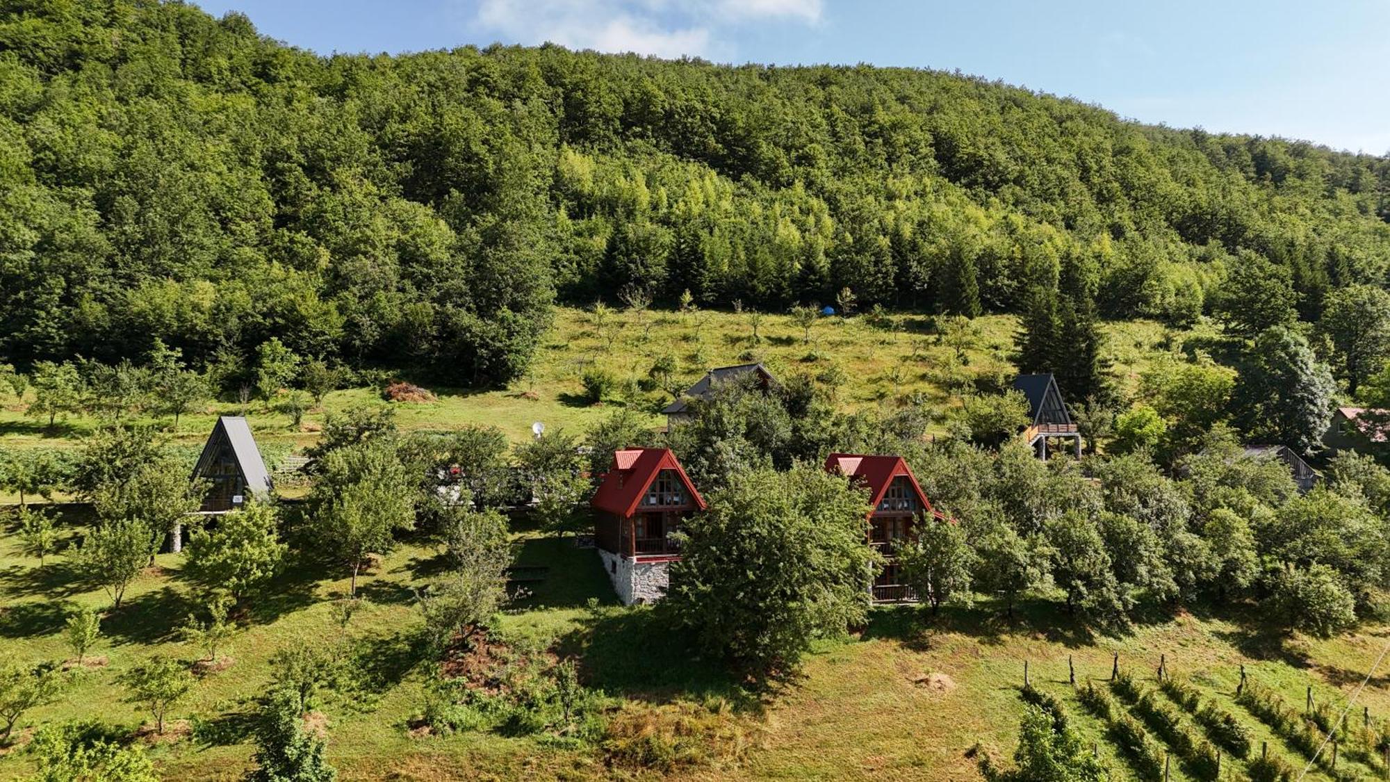 Fern Farm Eco Resort Мойковац Экстерьер фото